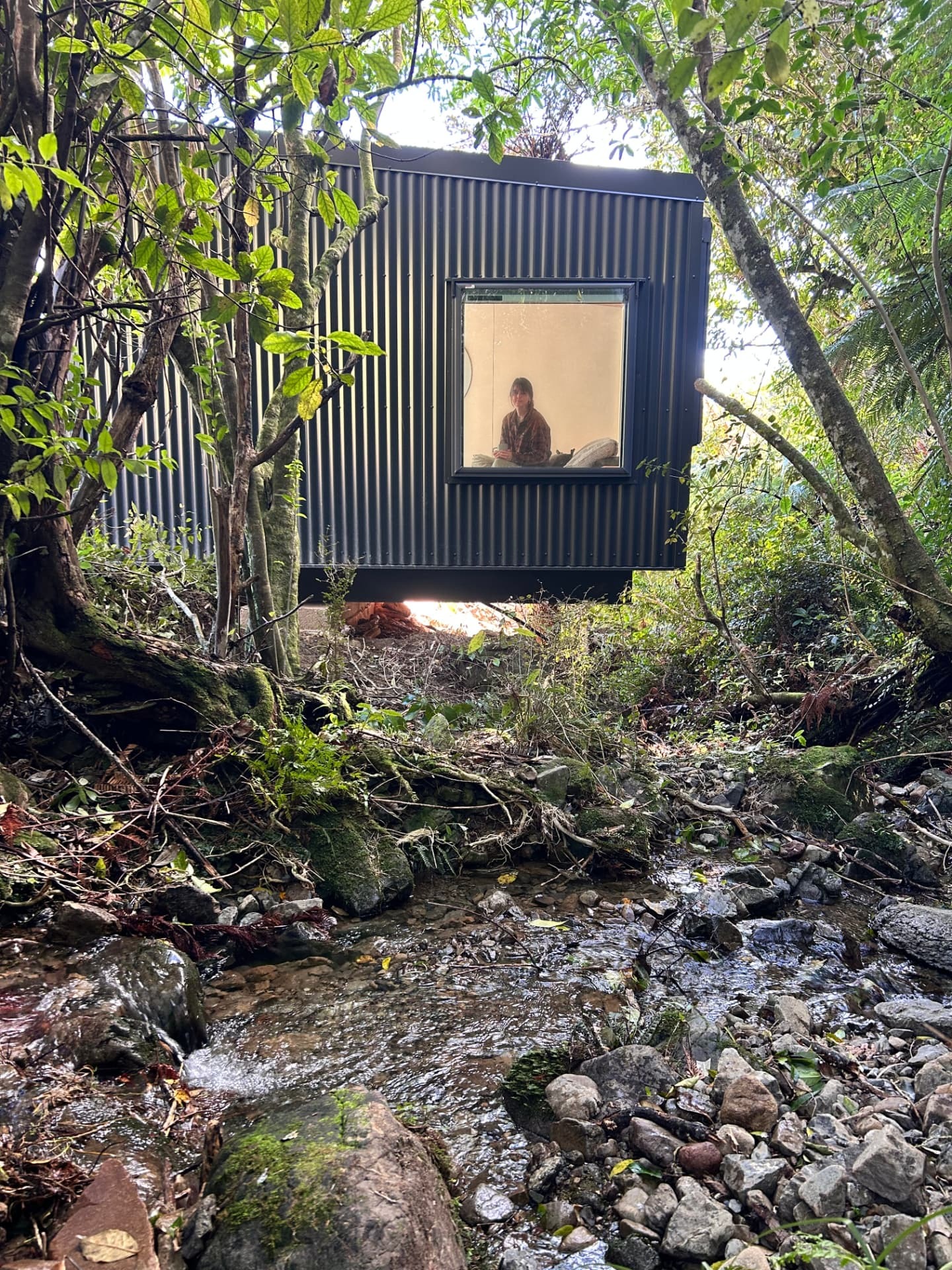 The Recovery Pod among native bush and stream