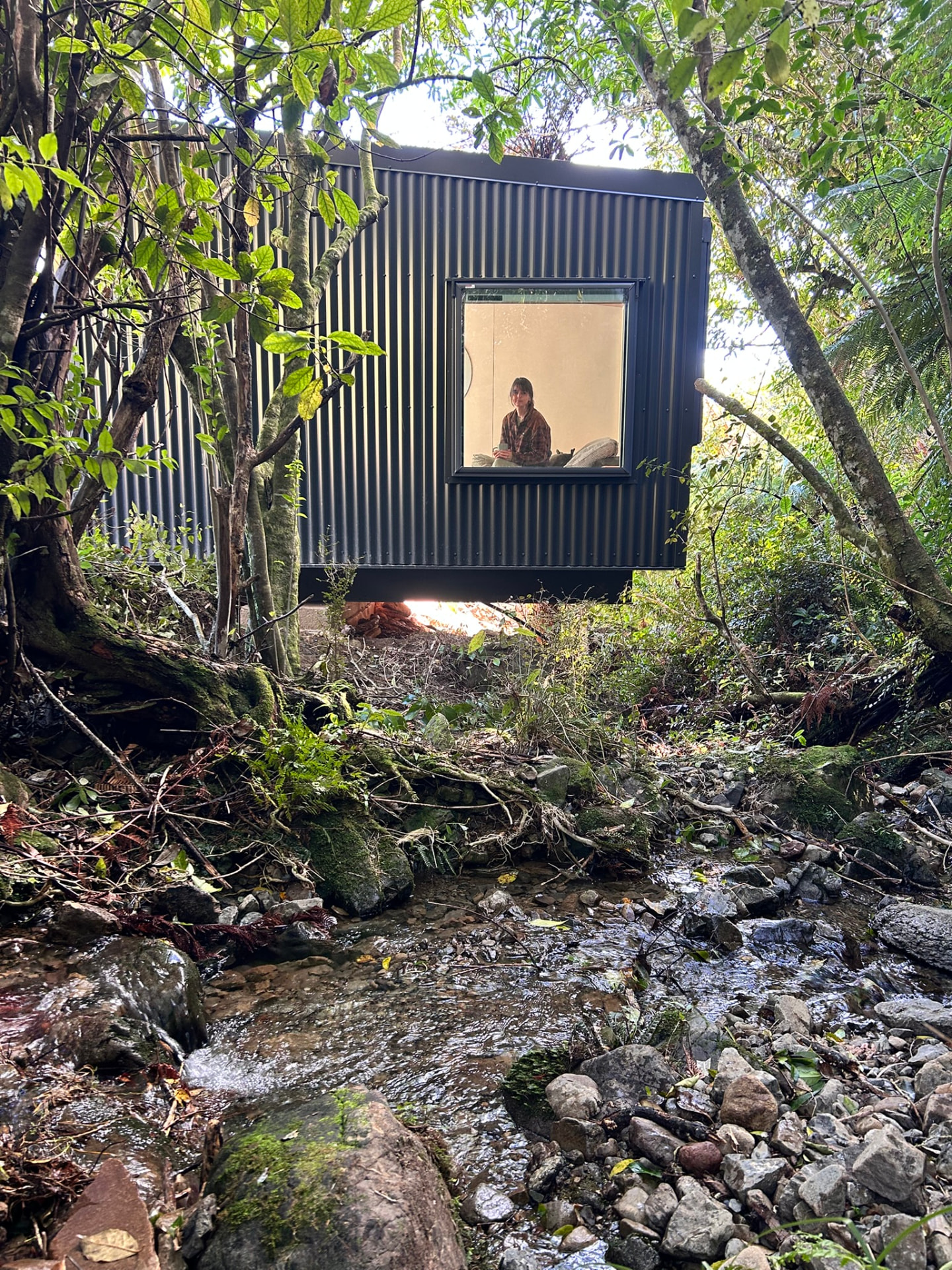 The Pod above the stream seen through native bush